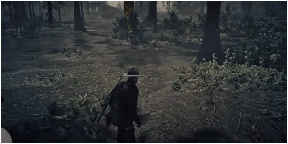 my-epic-hunt-for-rdr2-s-legendary-bull-gator-image-5