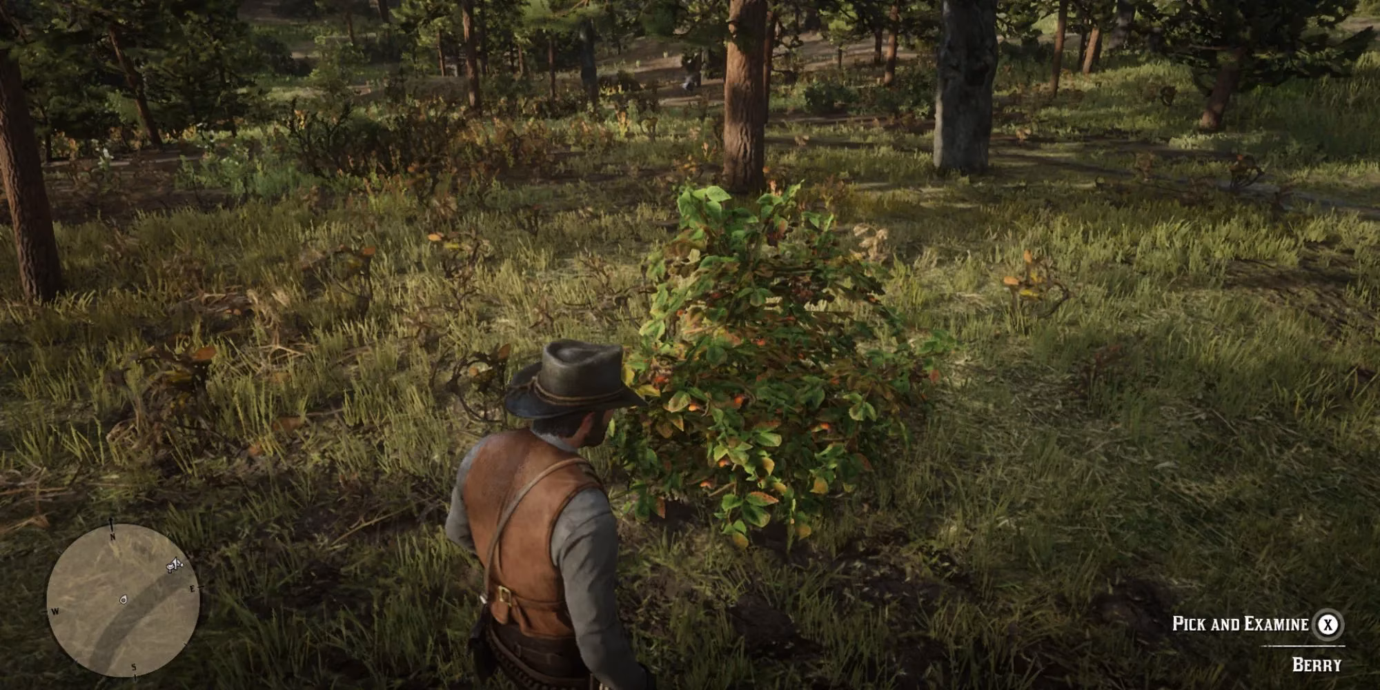 my-quest-for-blackberries-in-rdr2-a-hard-won-foragers-tale-image-0