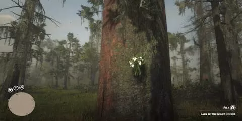 rdr2-exotics-guide-duchesses-and-other-animals-made-easy-image-2