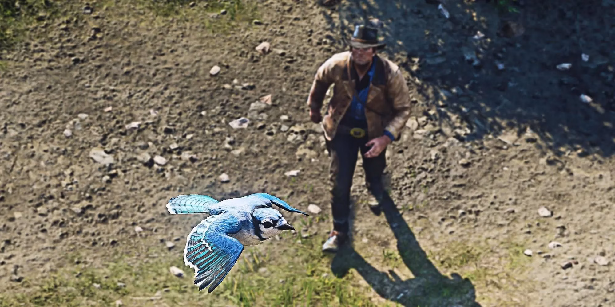 red-dead-redemption-2-s-blue-jay-the-epilogue-detail-that-changes-everything-image-0